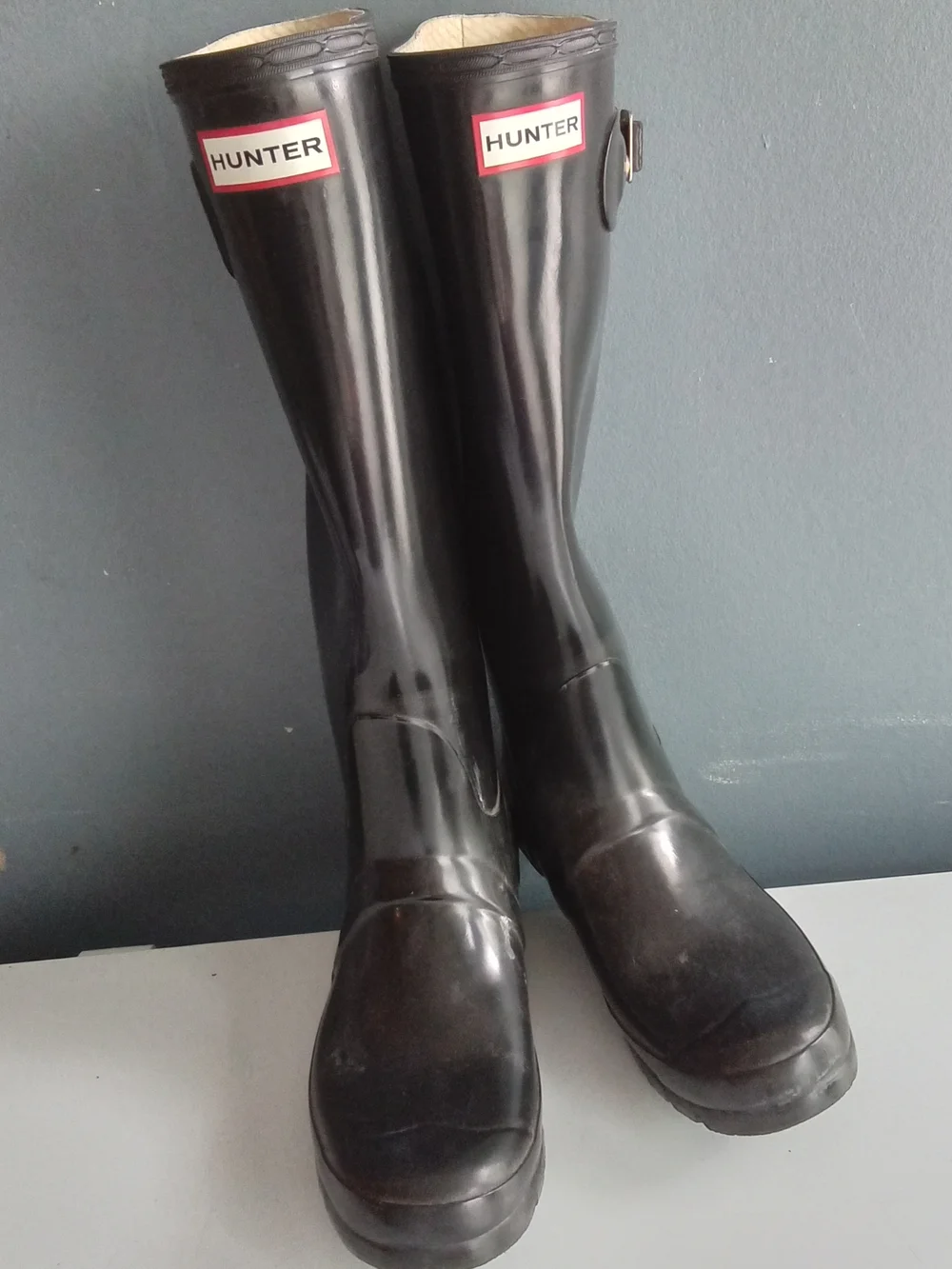 Hunter classic tall